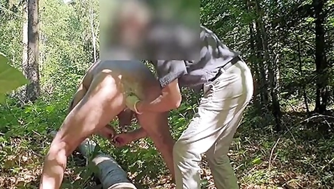 Werde Im Wald Gefistet