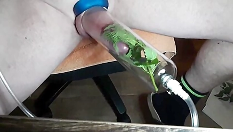 Nettle On 10-pounder And Balls